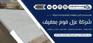 شركة عزل فوم بعفيف