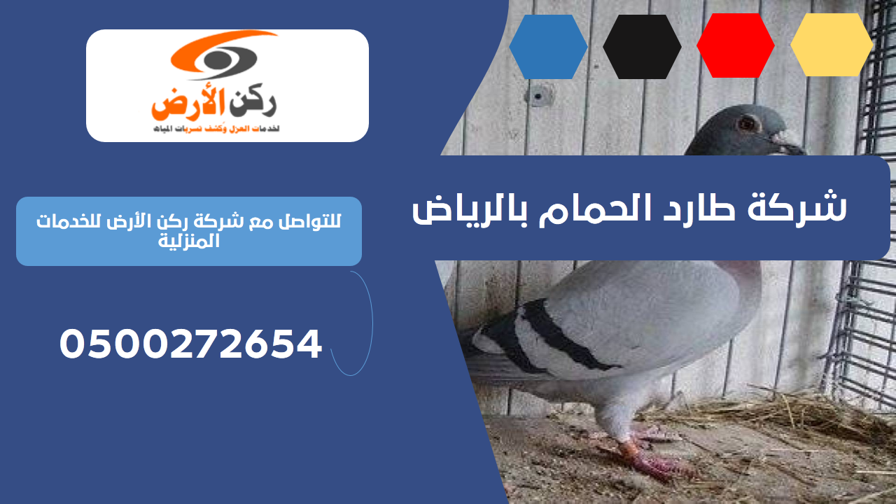 شركة طارد الحمام بالرياض